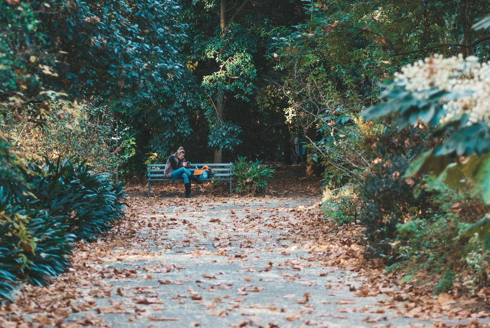 Adelaide, Things to do, Adelaide Botanic Garden